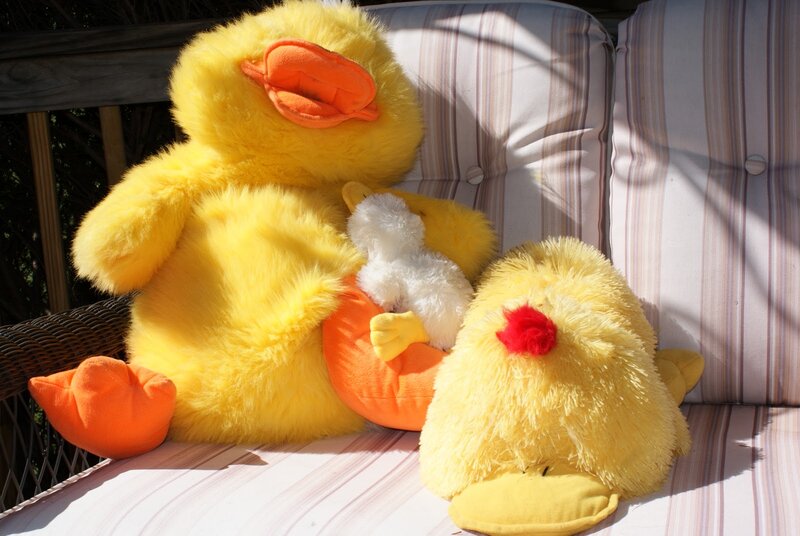 Yellow Duck Plush Toys