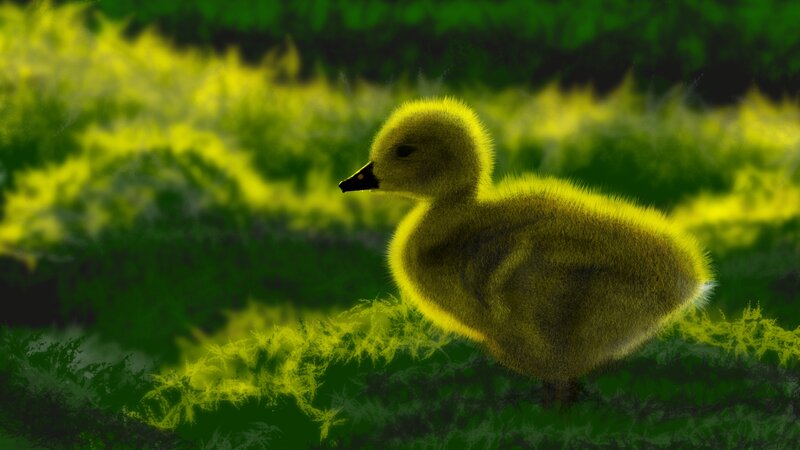 Yellow Duckling — Green