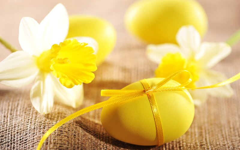 Yellow Easter Eggs and Daffodils