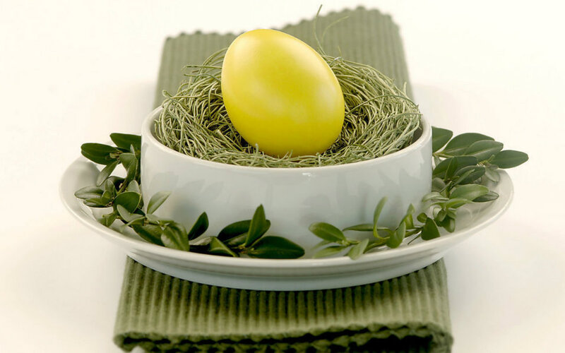 Yellow Egg in Nest — Green, Serene