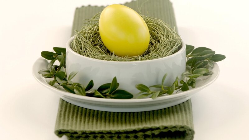 Yellow Egg in Nest — Green