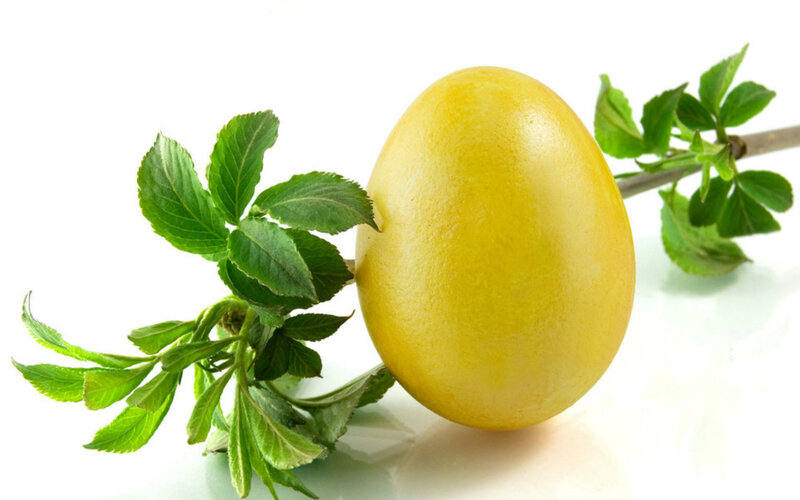 Yellow Egg with Green Leaves