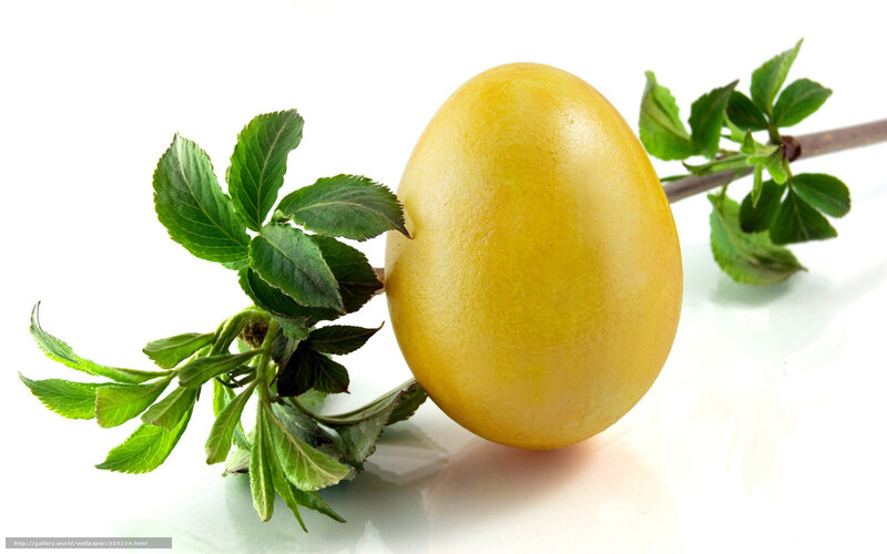 Yellow egg with green sprig