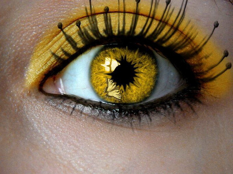 yellow eye with star pupil