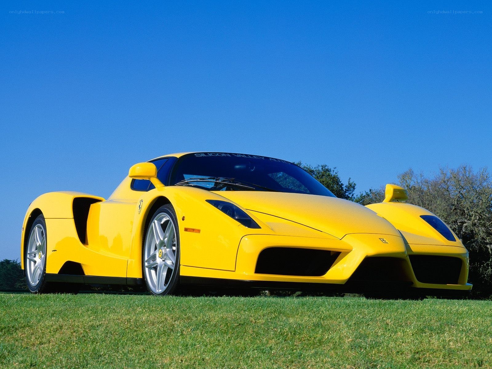 Yellow Ferrari Enzo on grass