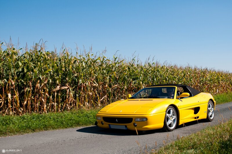 Yellow Ferrari in a cornfield