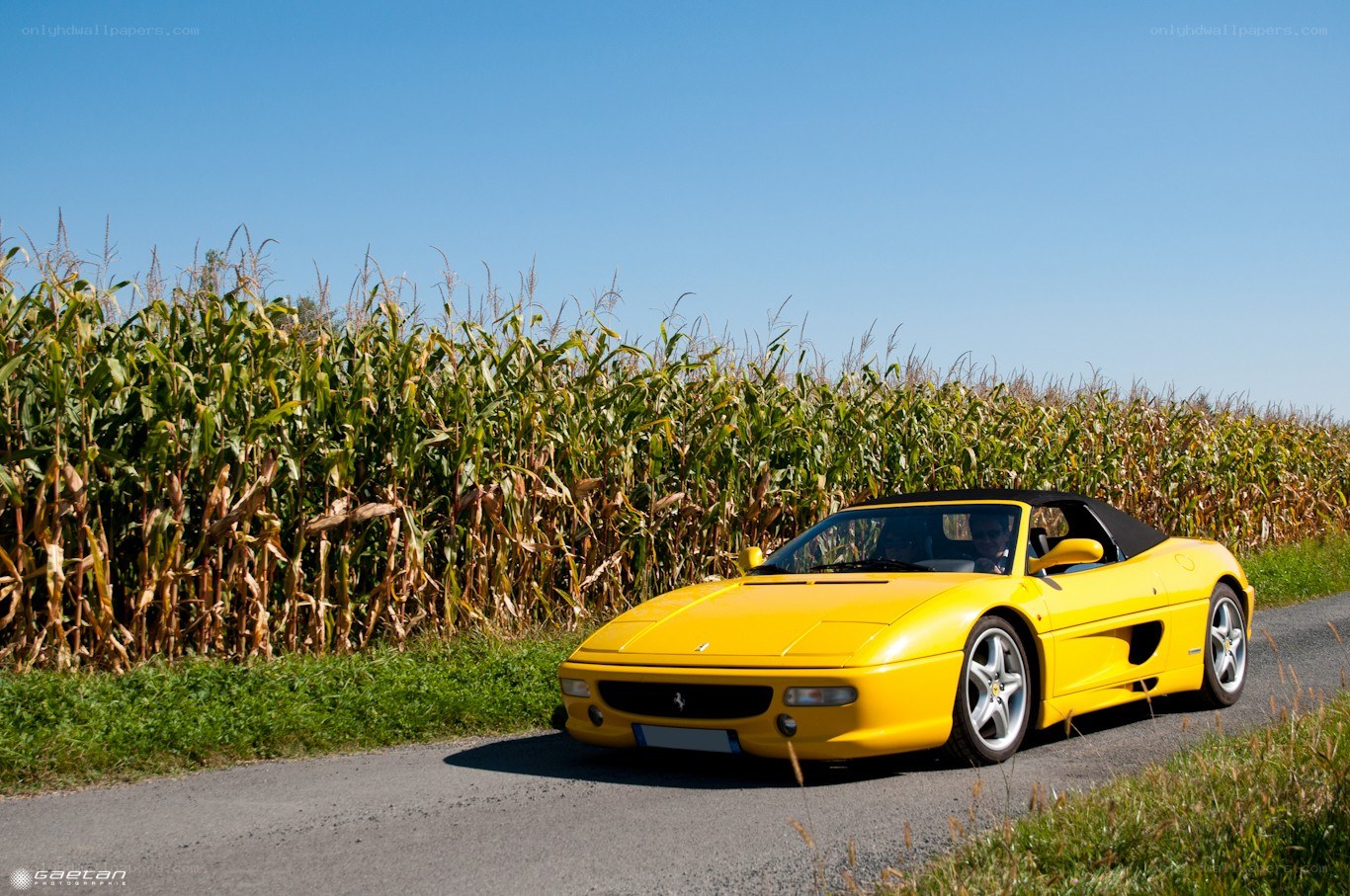 Yellow Ferrari in a cornfield