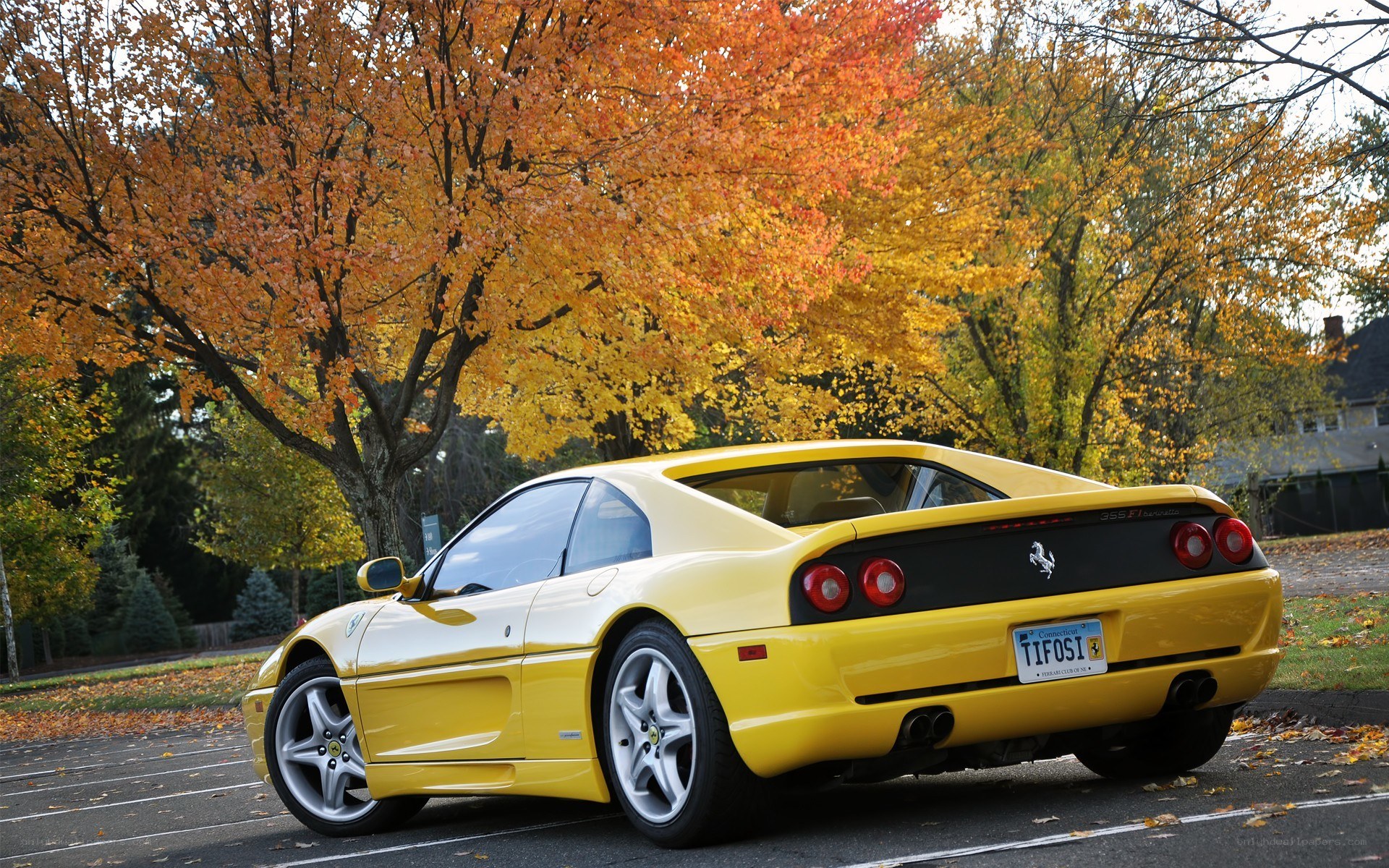 Yellow Ferrari in autumn