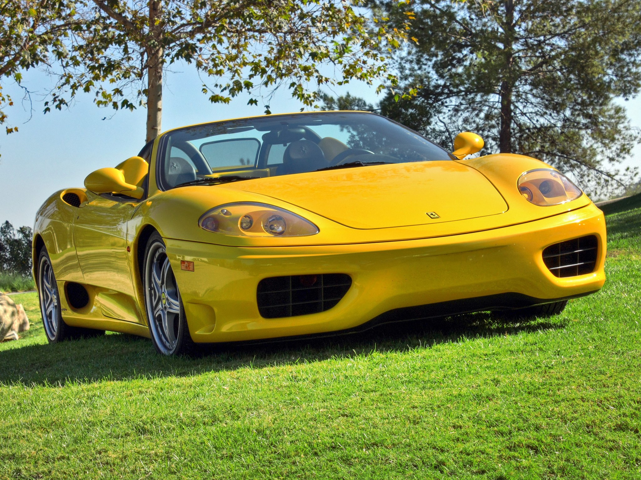 Yellow Ferrari on grass