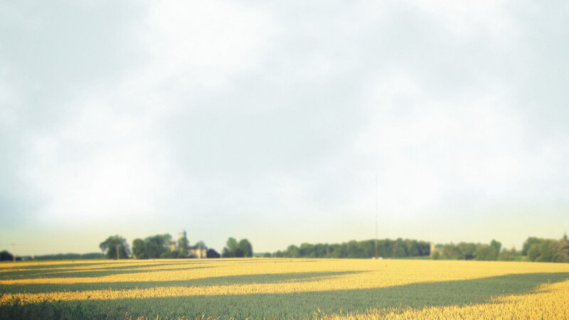 Yellow field under cloudy sky