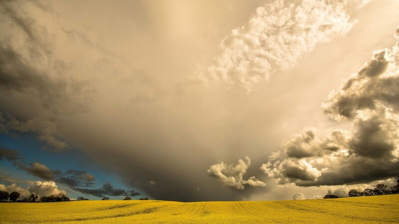 Yellow Field under Storm Clouds