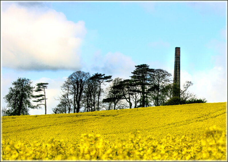 Yellow Field with Chimney
