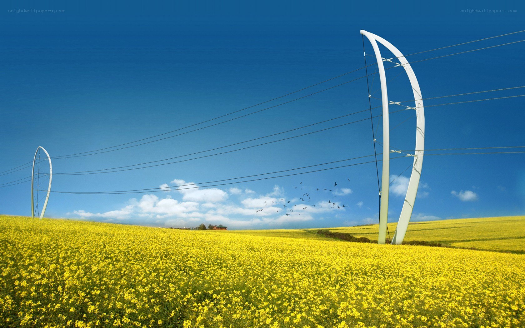 Yellow field with futuristic pylons