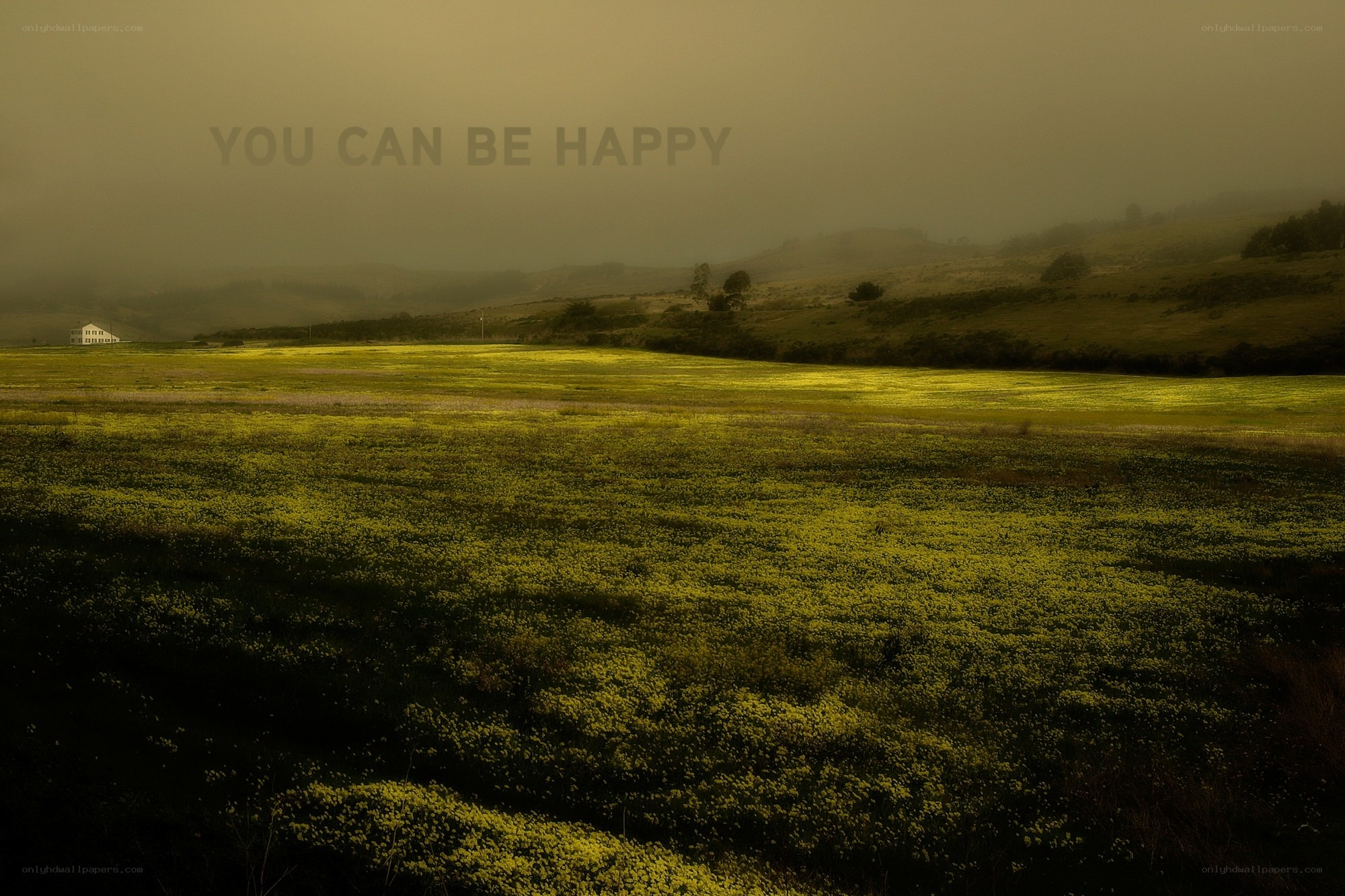 yellow field with house