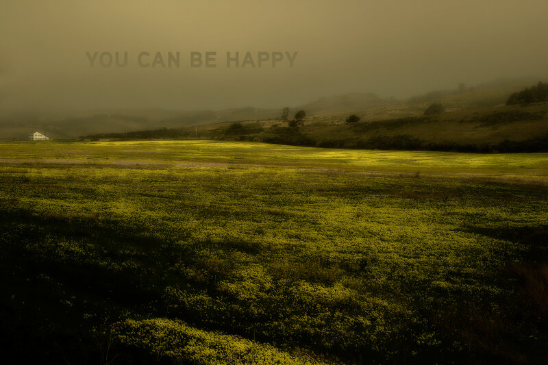 Yellow field with house in fog