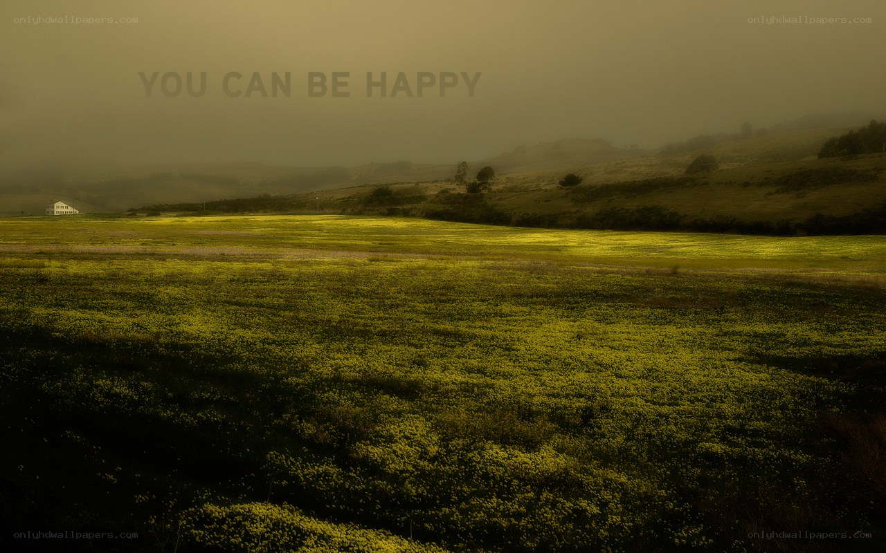 yellow field with house