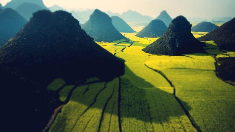 Yellow fields and karst mountains