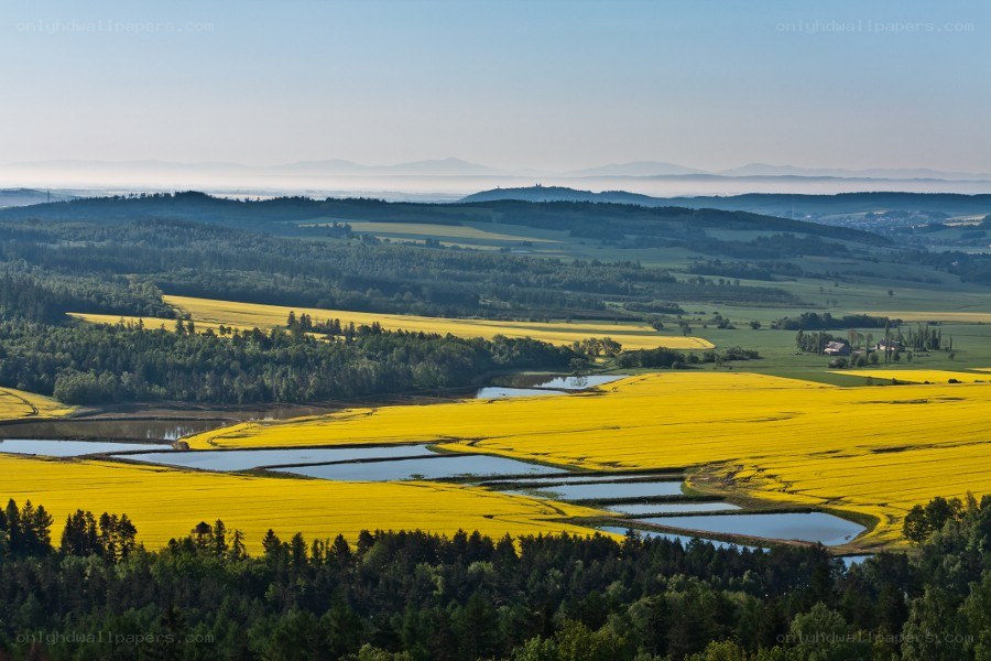 Yellow fields and rolling hills