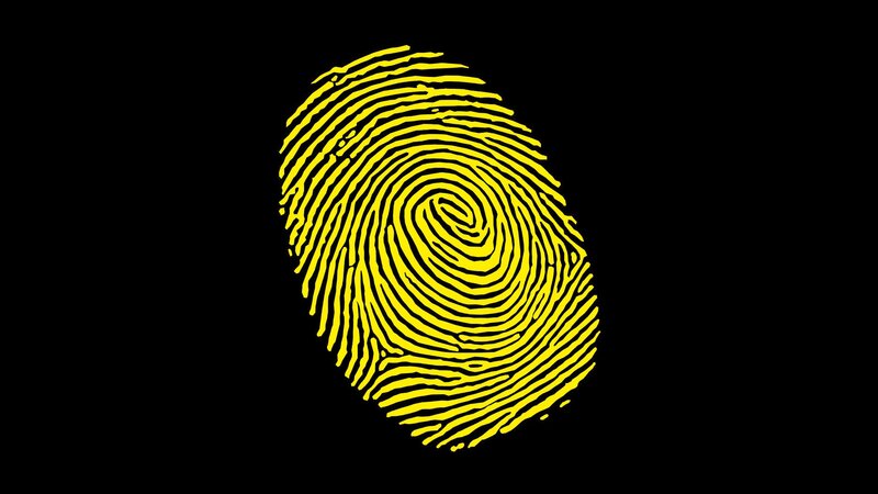 Yellow Fingerprint