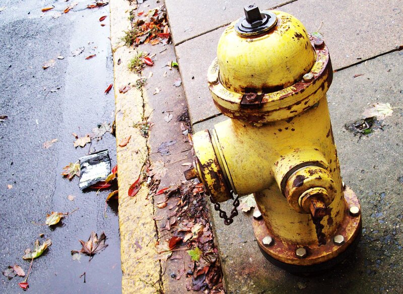 Yellow Fire Hydrant — Damp