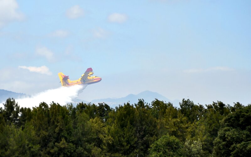 Yellow Firefighting Plane — Green
