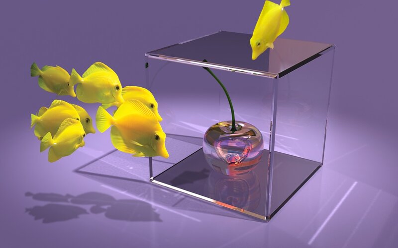 Yellow Fish in Aquarium — Purple, Serene