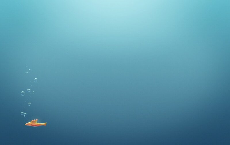 Yellow Fish Underwater