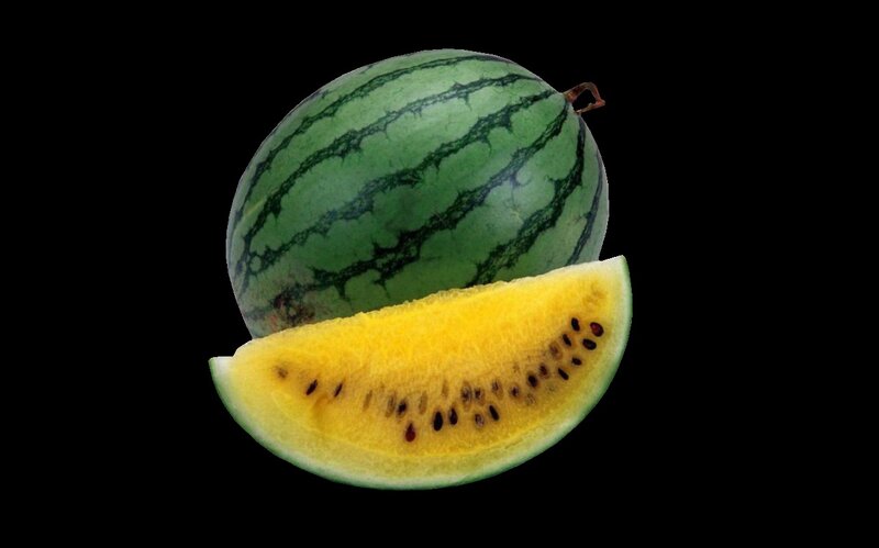 Yellow-fleshed Watermelon