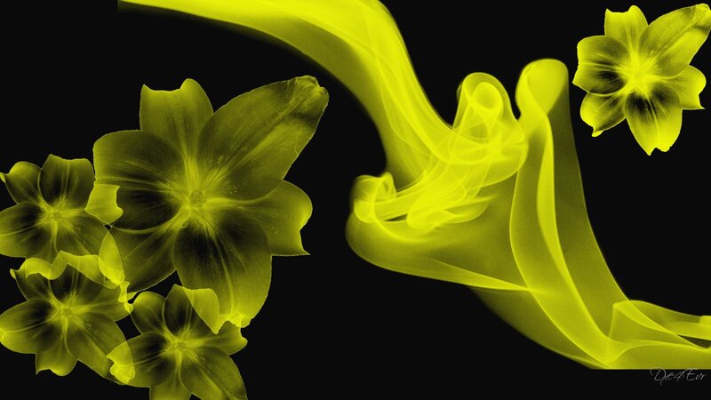 Yellow floral abstract design