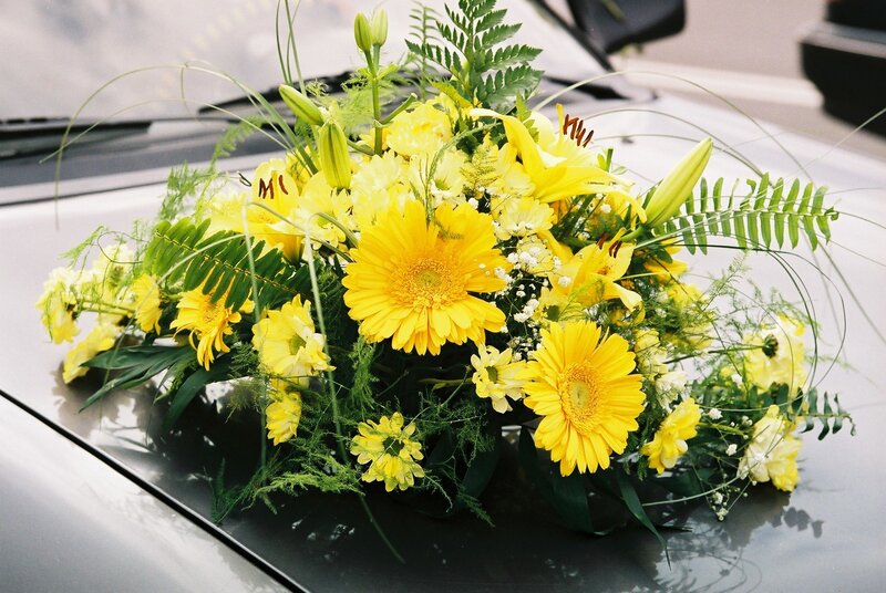 Yellow Flower Arrangement — Calm, Afternoon