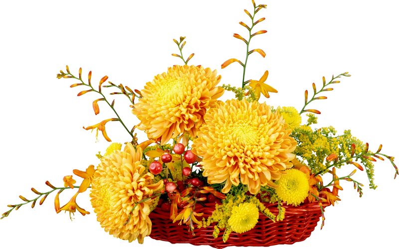 Yellow flower arrangement in basket