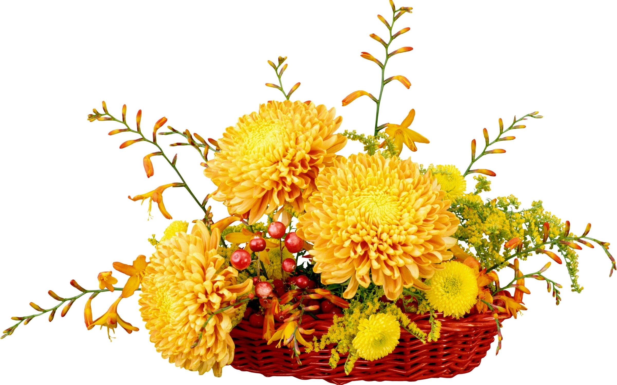 Yellow flower arrangement in basket