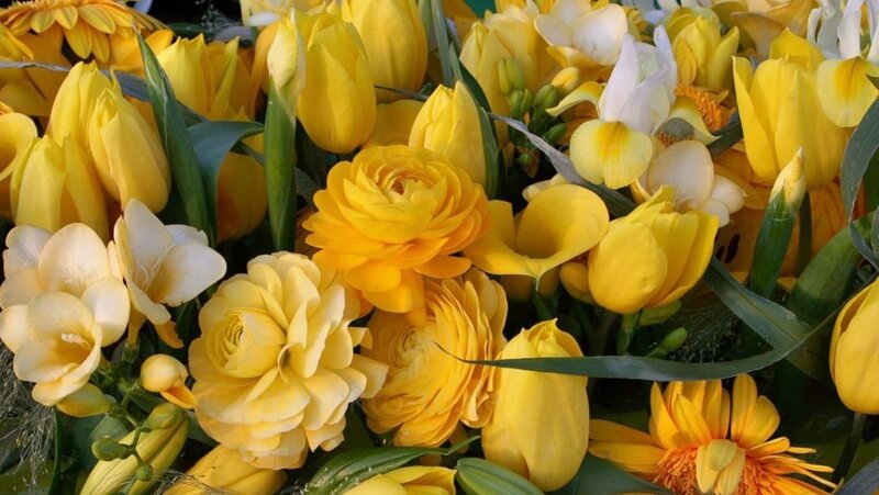Yellow Flower Bouquet — Bright