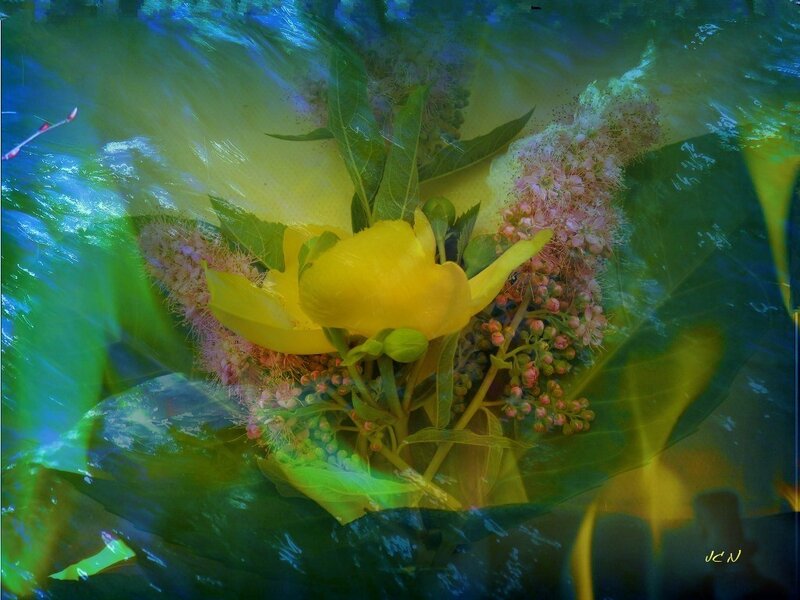 Yellow Flower Bouquet — Dreamy