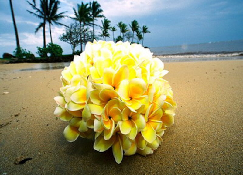 Yellow Flower Bouquet — Serene, Afternoon