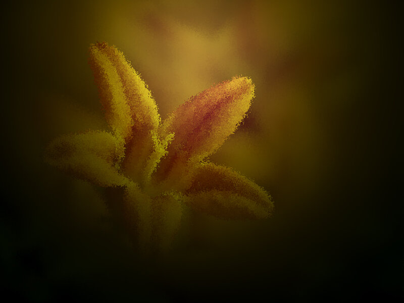 Yellow Flower Bud — Dramatic
