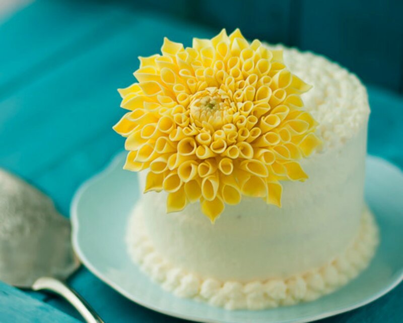 Yellow Flower Cake — Calm