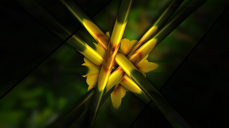 Yellow Flower Center — Dramatic, Digital Art