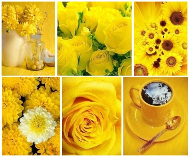 Yellow Flower Collage