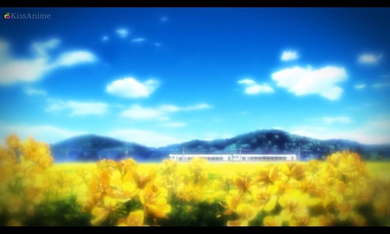 Yellow Flower Field — Blue, Serene, Afternoon, Anime