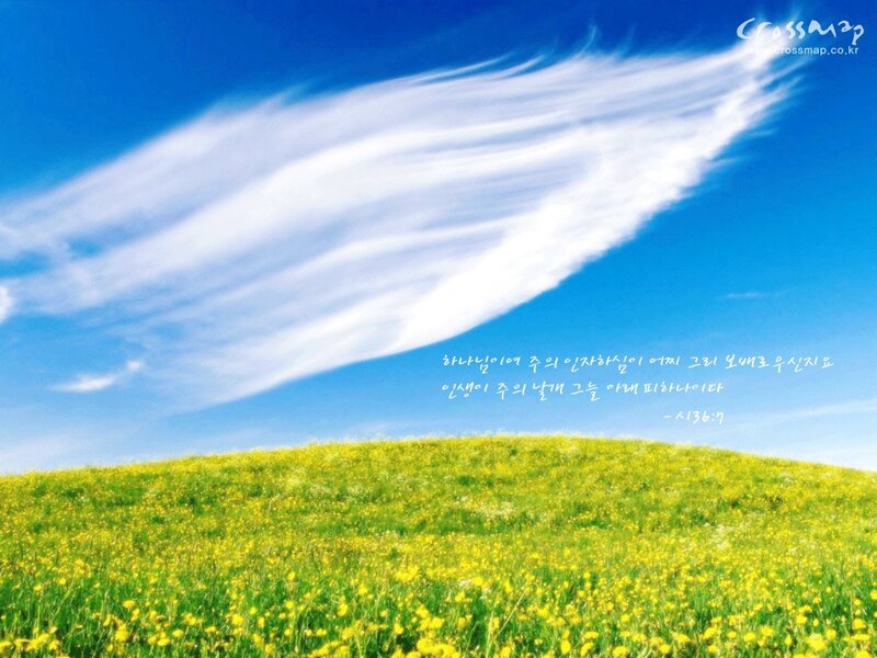 Yellow Flower Field — Blue, Serene, Afternoon, Photograph, Sky, Clouds, Text