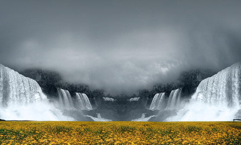 Yellow Flower Field — Dramatic, Photograph