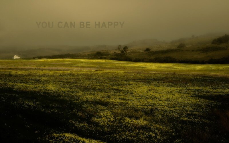 Yellow Flower Field — Green, Serene, Morning