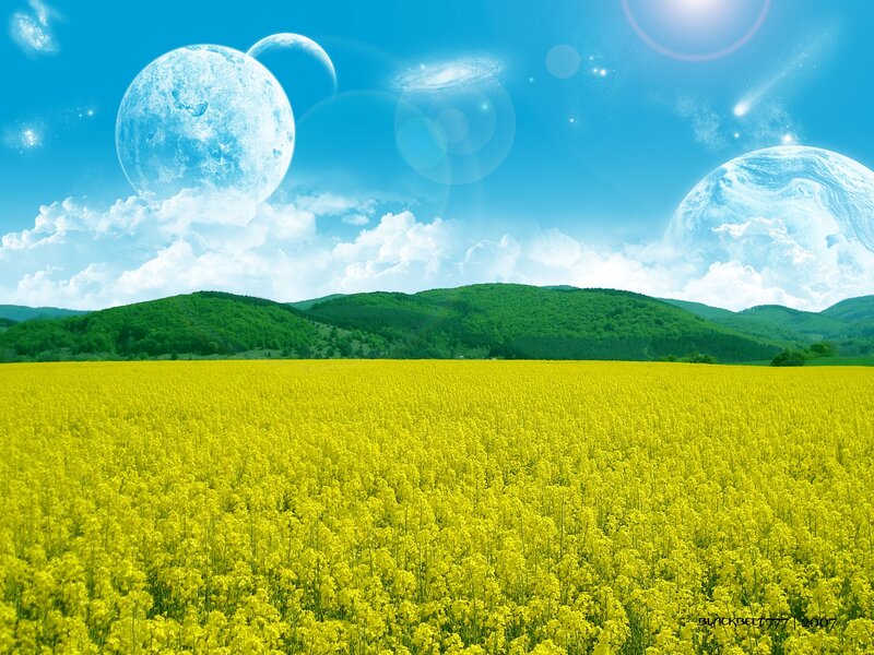 Yellow Flower Field — Serene, Afternoon, Digital Art