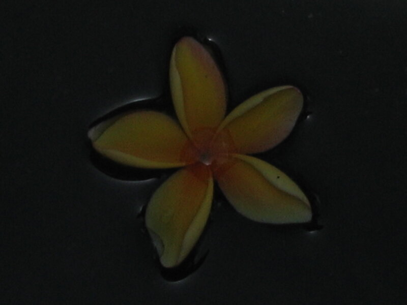 yellow flower floating on water