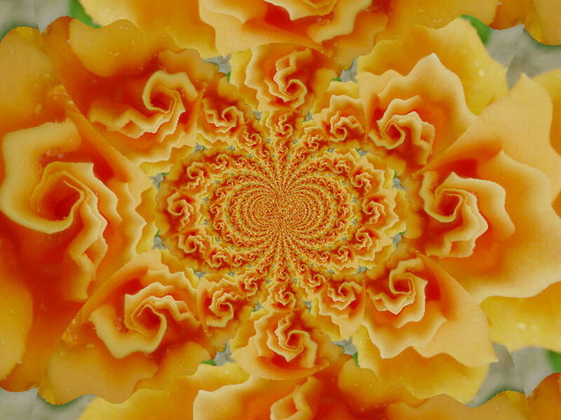 Yellow Flower Fractal — Hypnotic