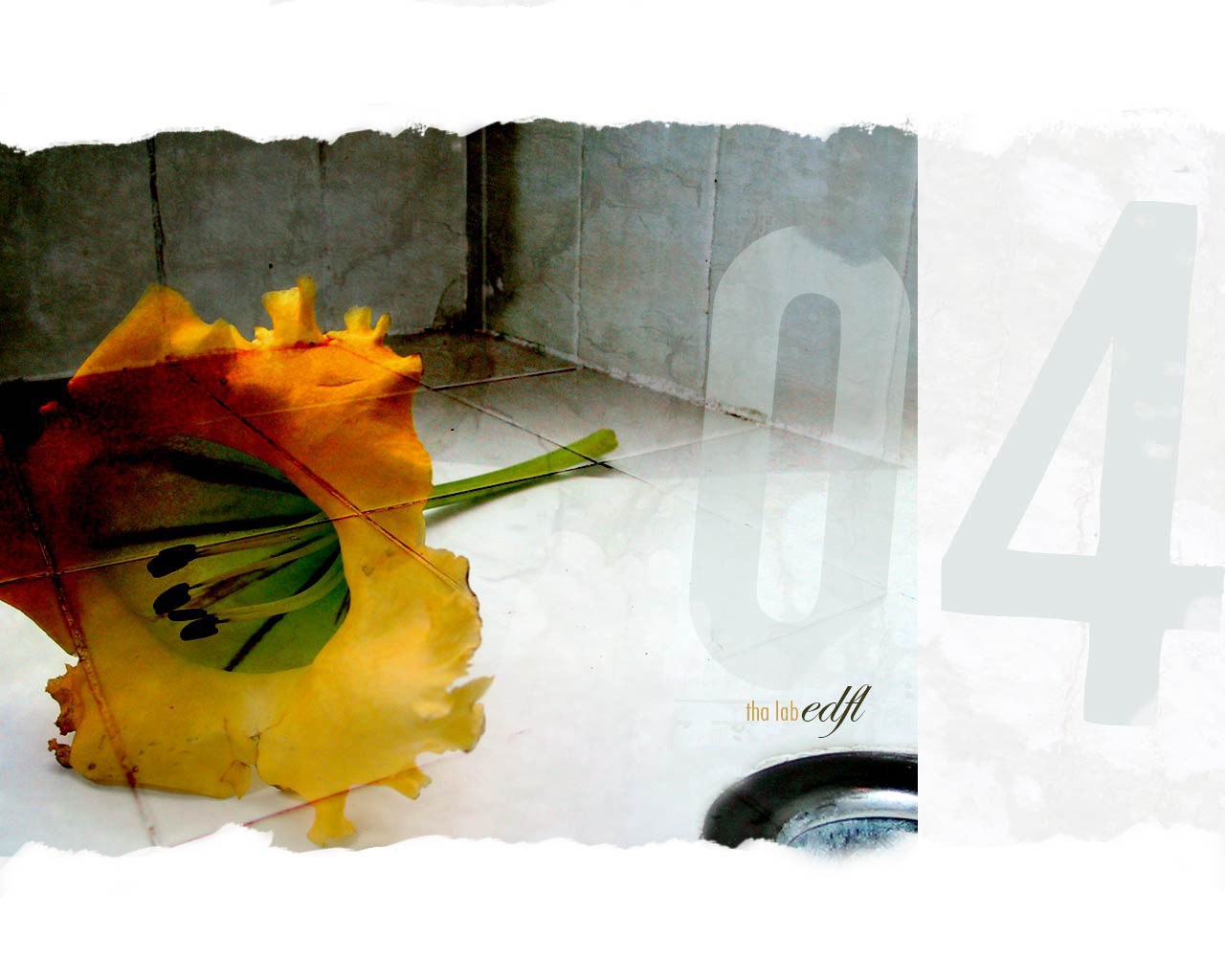 yellow flower in a sink