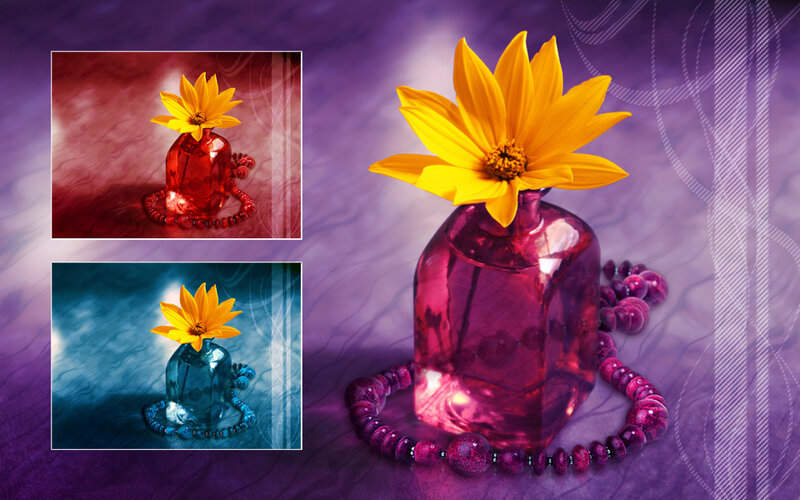 Yellow flower in a vase