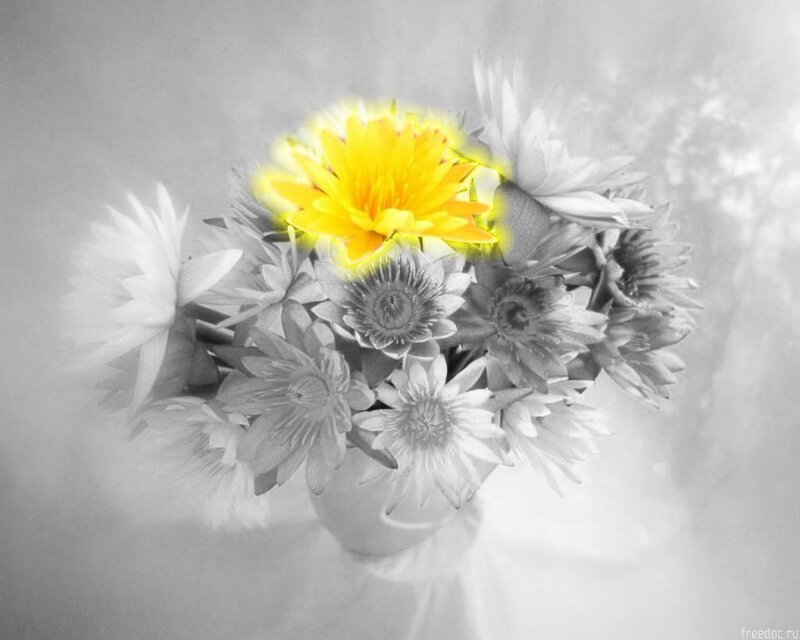 yellow flower in bouquet
