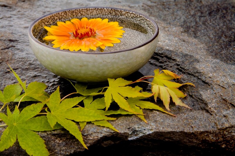 Yellow Flower in Bowl